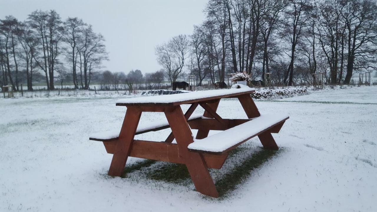 Emsduene Villa Oberlangen ภายนอก รูปภาพ